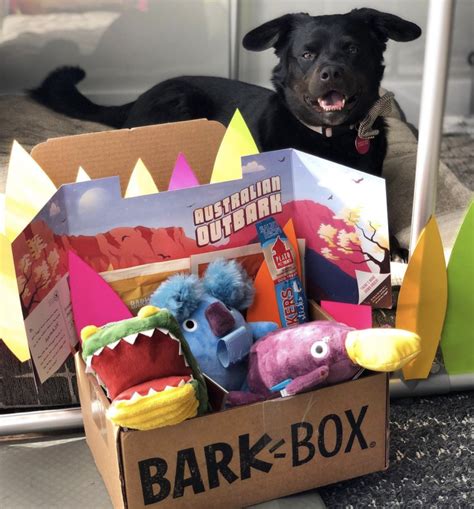 bark box metal|BarkBox toys.